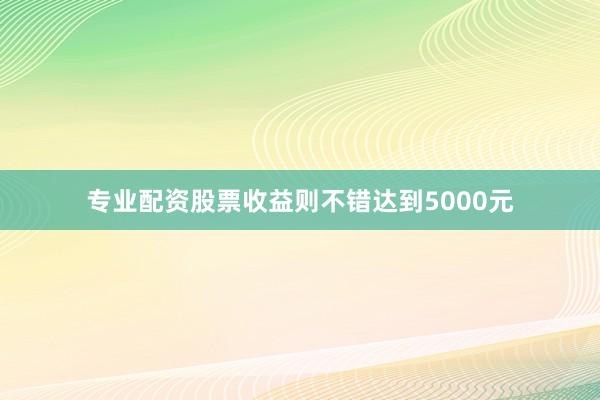 专业配资股票收益则不错达到5000元