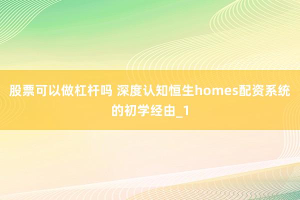 股票可以做杠杆吗 深度认知恒生homes配资系统的初学经由_1